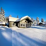 Modern With Amenities At Fagerfjell Flesberg