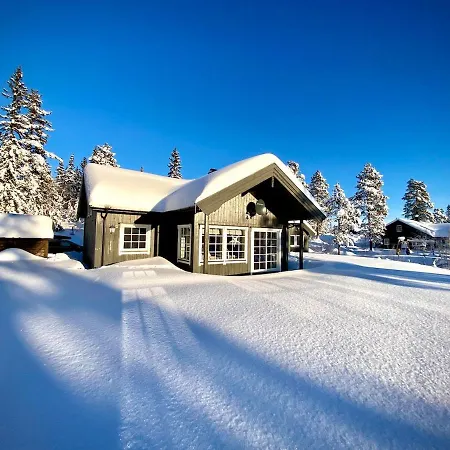 Modern With Amenities At Fagerfjell Flesberg