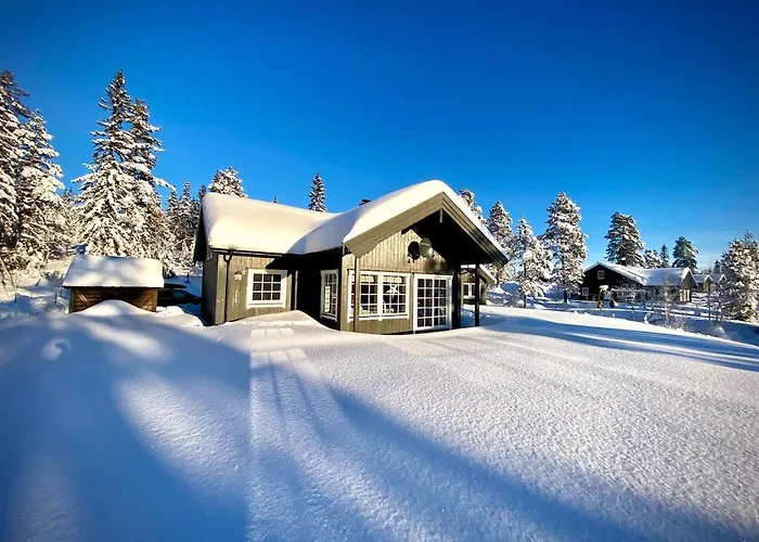 Modern With Amenities At Fagerfjell Flesberg