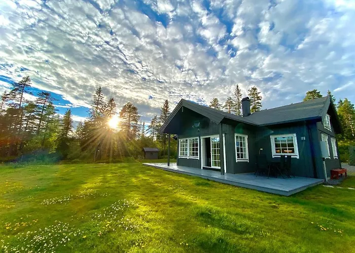 Modern With Amenities At Fagerfjell