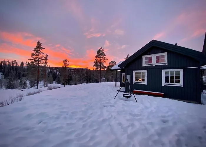 Modern With Amenities At Fagerfjell *