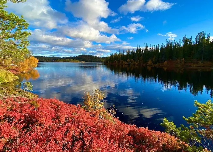 Modern With Amenities At Fagerfjell *