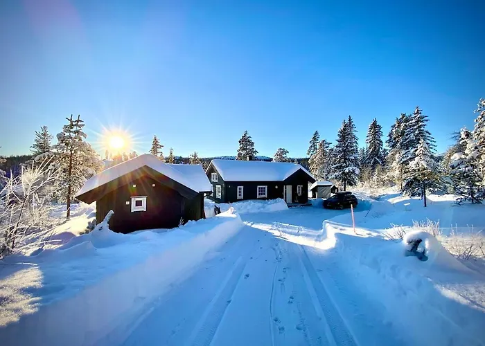 Modern With Amenities At Fagerfjell * Flesberg