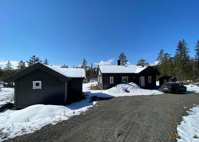 Modern With Amenities At Fagerfjell * Flesberg