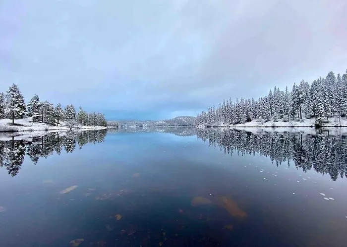 Modern With Amenities At Fagerfjell Flesberg