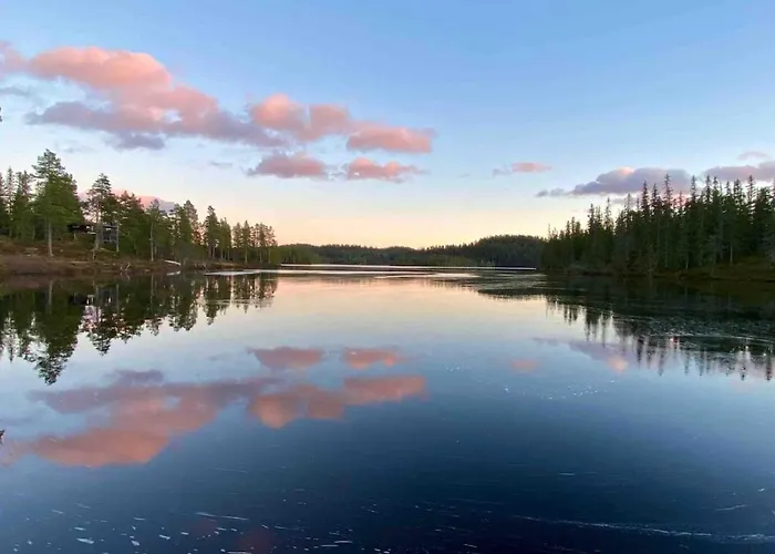 Modern With Amenities At Fagerfjell