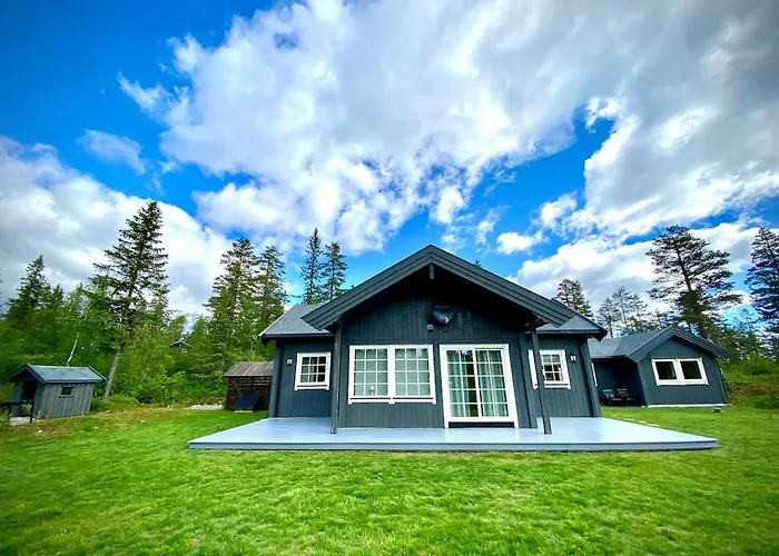 Modern With Amenities At Fagerfjell