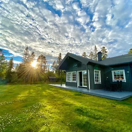 Modern With Amenities At Fagerfjell