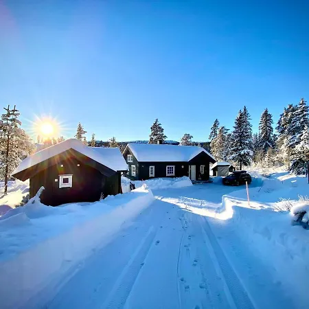 Modern With Amenities At Fagerfjell * Flesberg