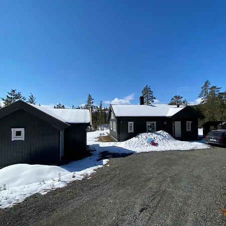 Modern With Amenities At Fagerfjell * Flesberg